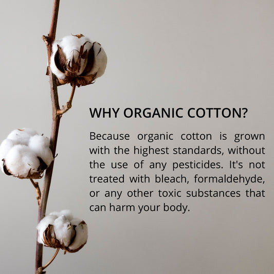 Carmesi 100% Organic Cotton Tampons - 16 Regular for Medium Flow - image 2