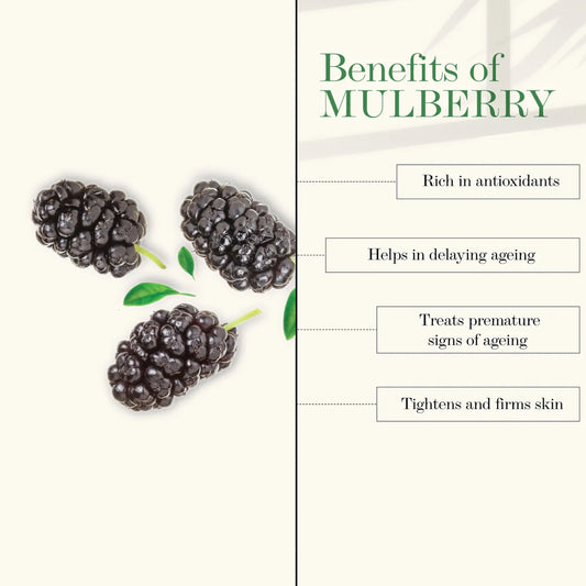 Good Vibes Mulberry Face Wash | Cleansing, Brightening | With Papaya | No Parabens, No Mineral Oil, No Animal Testing (200 ml) - Good Vibes image 2