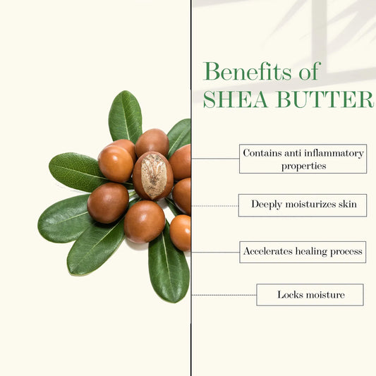 Good Vibes Plus Shea Butter + Aloe Vera Nourishing + Soothing Night Cream | Moisturizing, Soothing | No Parabens, No Sulphates, No Mineral Oil (50 gm) - Good Vibes image 2