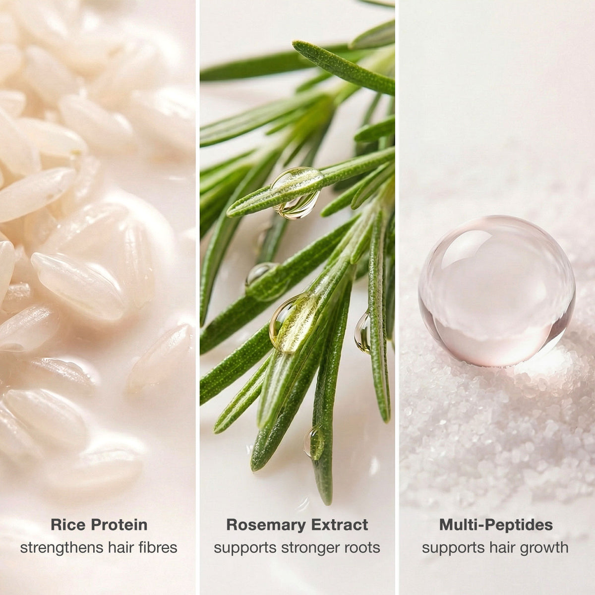 Good Vibes Rosemary, Rice Protein & Multi Peptide Hair Growth Shampoo | Powered With Rosemary Extract & Multi Peptides | Strengthens Roots & Reduces Hair Fall | Supports Healthy Hair Growth | Non-Drying Formula | Suitable for All Hair Types | 400 ml - Good Vibes image 5