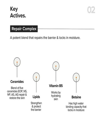 Minimalist Vitamin B12 + Repair Complex 5.5% Face Moisturizer