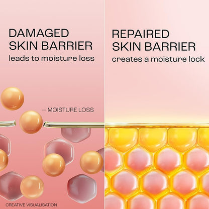 Lakmé Peach Creme Moisturiser with Ceramides & Peptides