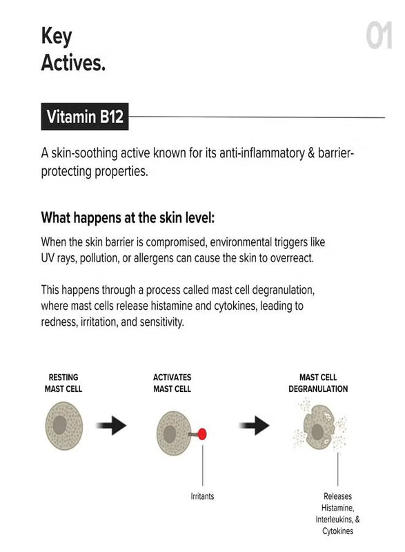 Minimalist Vitamin B12 + Repair Complex 5.5% Face Moisturizer