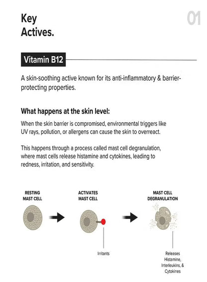 Minimalist Vitamin B12 + Repair Complex 5.5% Face Moisturizer