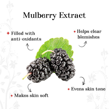 Alps Goodness Mulberry Brightening Facial Kit (34 gm) - image 2