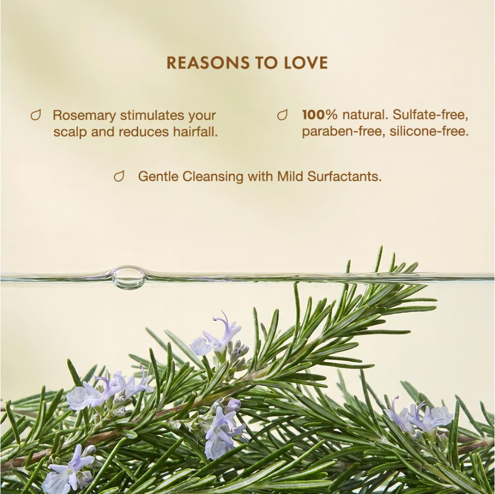Alps Goodness Rosemary Foaming Shampoo – Presoaked in Amla Reetha Shikakai water - image 5