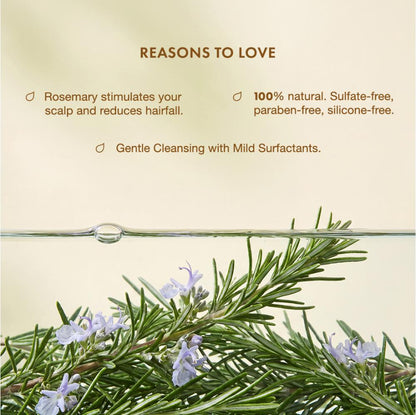 Alps Goodness Rosemary Foaming Shampoo – Presoaked in Amla Reetha Shikakai water - image 5