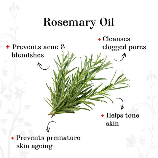 Alps Goodness Wrinkle Reducer Facial Kit – Rosemary (36 gm) - image 2
