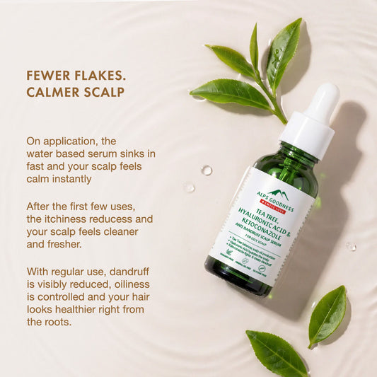 Alps Goodness Tea Tree Oil, Hyaluronic Acid & Ketoconazole Anti Dandruff Scalp Serum For Oily Scalp (30 ml) - image 2