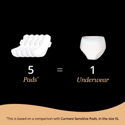 Carmesi Disposable Period Panties (L-XL) - image 4