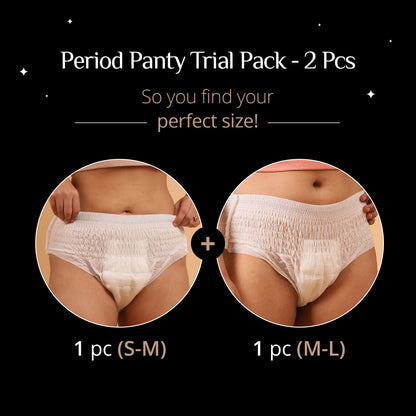 Carmesi Disposable Period Panties for Women - image 2