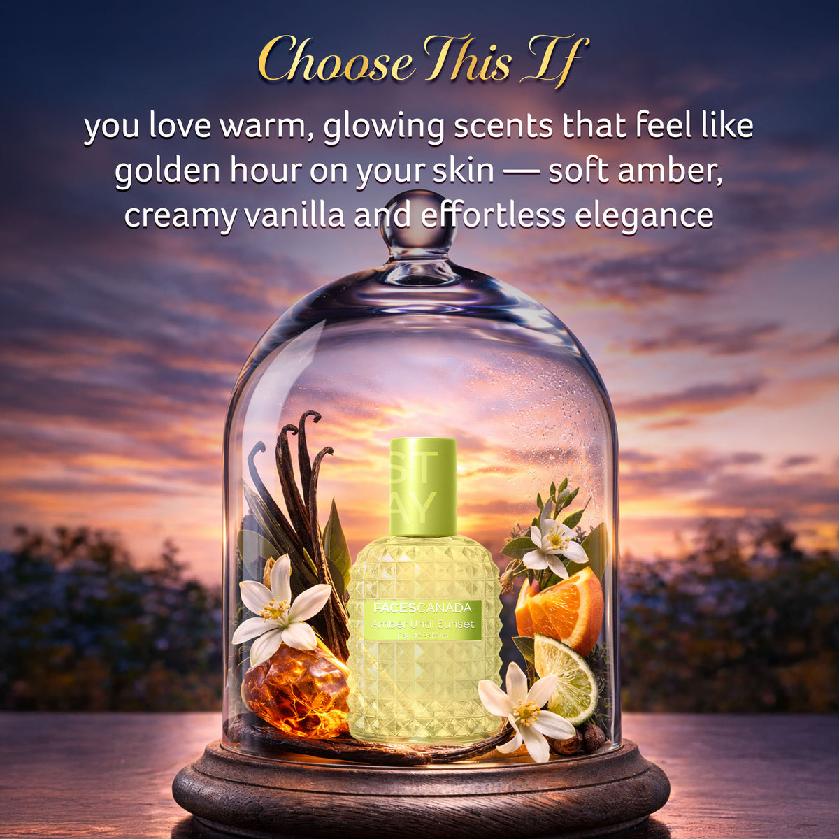 Faces Canada STAY Amber Until Sunset Eau de Parfum Mini for Women, 20 ml – Long-Lasting Oriental, Ambery Vanilla Perfume with Bergamot, Amber, Vanilla & Musk - image 4
