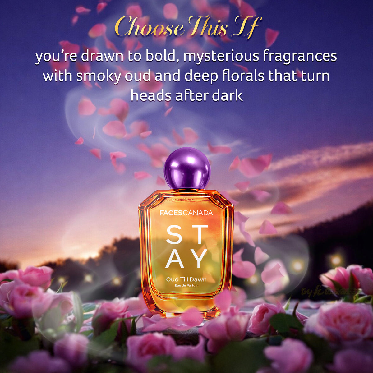 Faces Canada STAY Oud Till Dawn Eau de Parfum for Women, 50 ml – Long-Lasting Perfume with Oud, Rose & Amber - image 4