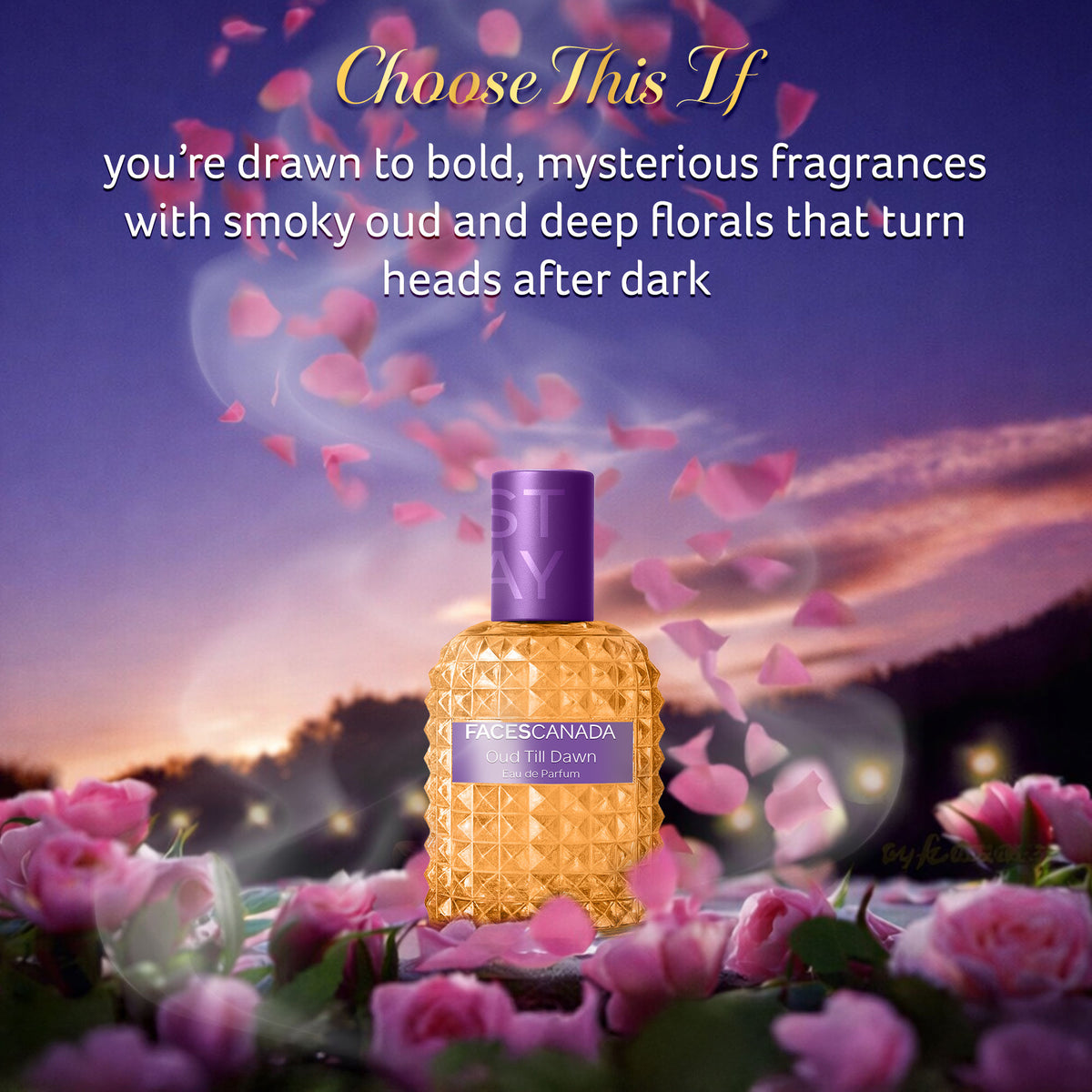 Faces Canada STAY Oud Till Dawn Eau de Parfum Mini for Women, 20 ml – Long-Lasting Perfume with Oud, Rose & Amber - image 4