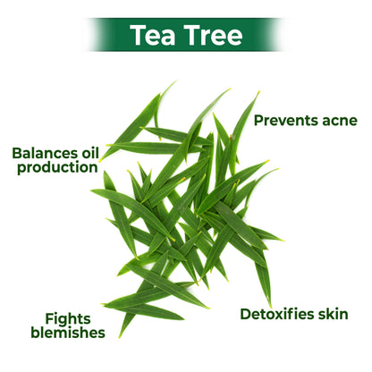 Good Vibes Acne Control Tea Tree Combo (Foaming Facewash, Toner, Serum, Gel creme) Combo of 4 - Good Vibes image 3