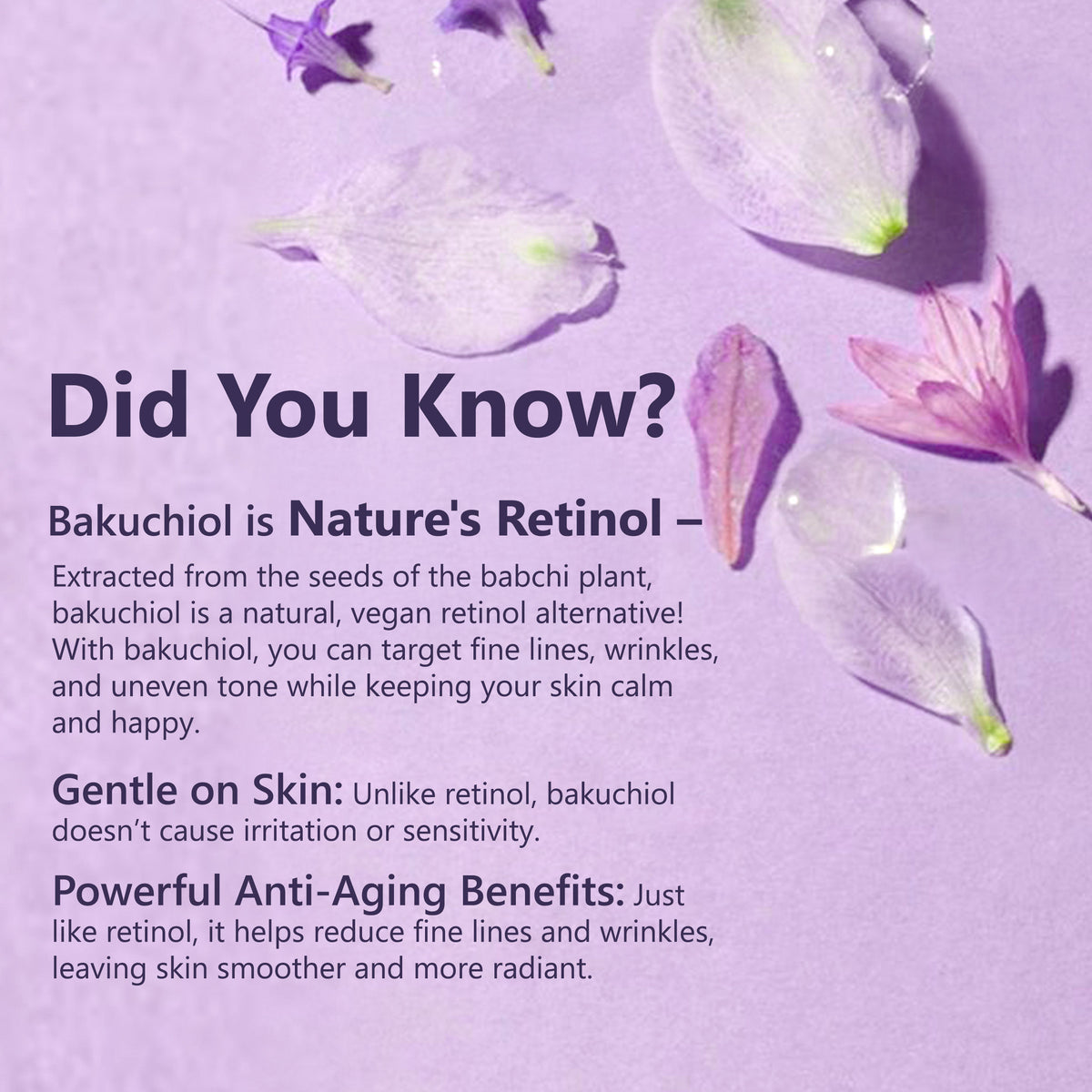 Good Vibes Age Defying Bakuchiol Night Face Serum | Forever Collection |Calms skin, Natural Retinol, Anti ageing I No Parabens, No Mineral Oils, No Sulphates, No Animal Testing, No Silicone, Vegan (30 ml) - Good Vibes image 2