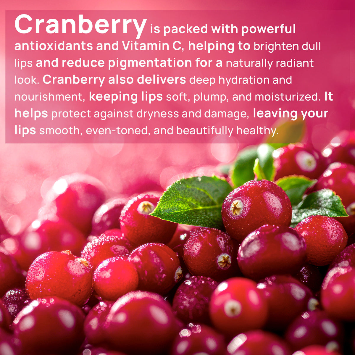 Good Vibes Cranberry Brightening Lip Balm | New & Improved| Ideal for Chapped & Pigmented lips | Brightens lips (5.5 gm) - Good Vibes image 3