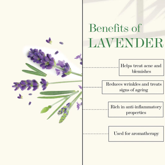 Good Vibes Lavender Soothing Shower Gel | (Body Wash) Moisturizing, Refreshing (200 ml) - Good Vibes image 2