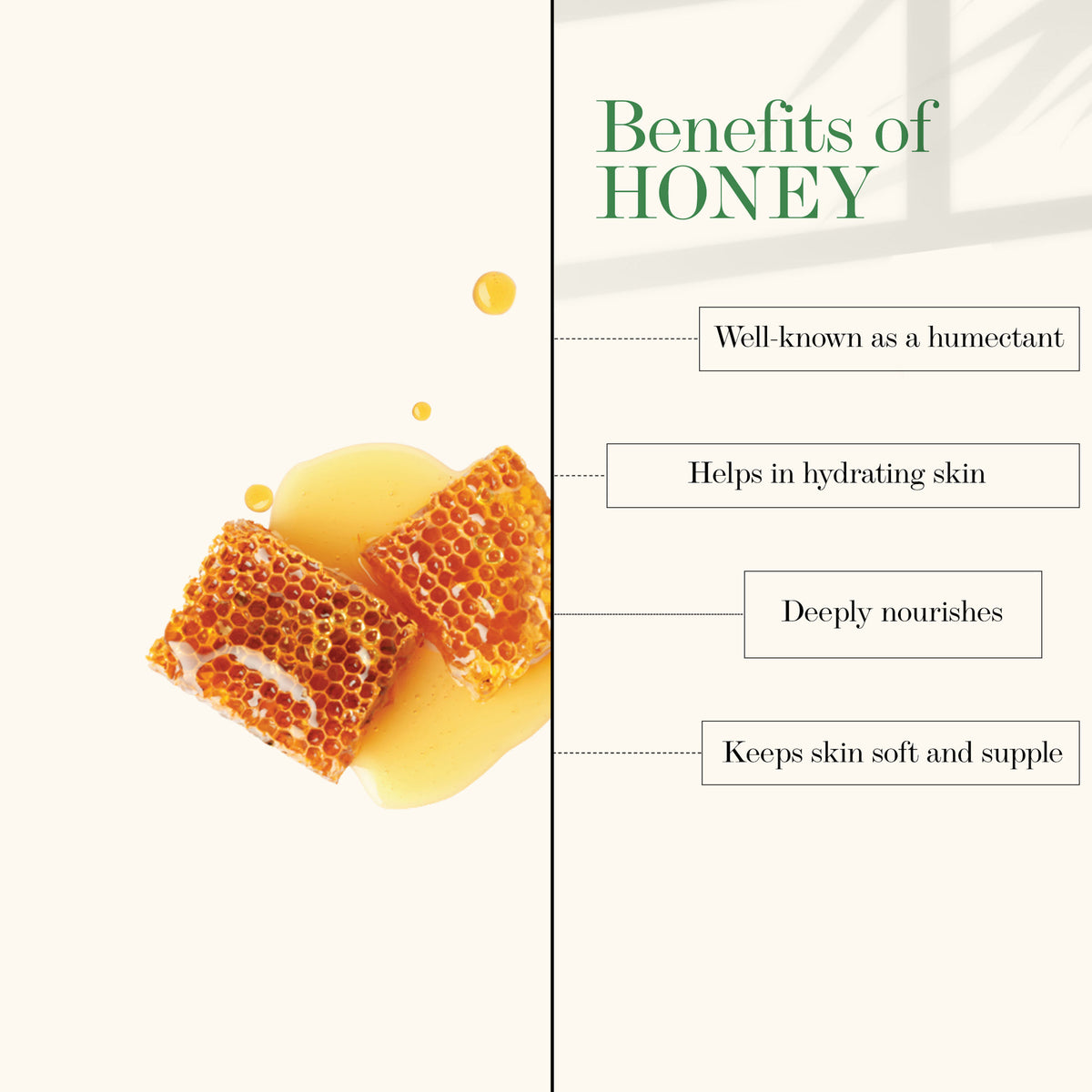 Good Vibes Honey Moisturizing Face Wash | Lightening Moisturizing | Gentle Face Wash | No Parabens | No Mineral Oil No Animal Testing (120 ml) - Good Vibes image 2