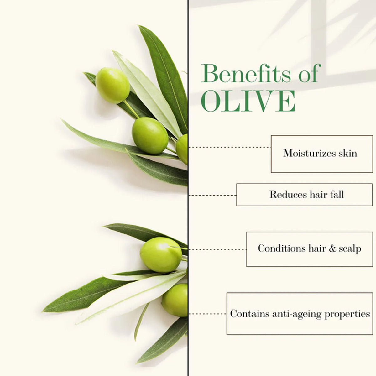 Good Vibes Olive 100% Pure Cold Pressed Carrier Oil For Hair & Skin | Hair Repair, Anti-Ageing | No Parabens, No Animal Testing (100 ml) - Good Vibes image 2