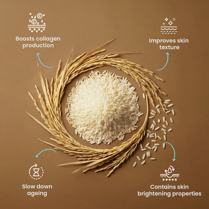 Good Vibes Rice Brightening Routine | Rice Brightening Face Cleanser (120 ml) | Rice Brightening Toner (120 ml) | Rice Brightening Gel Creme (50 gm) Combo of 3 - Good Vibes image 4