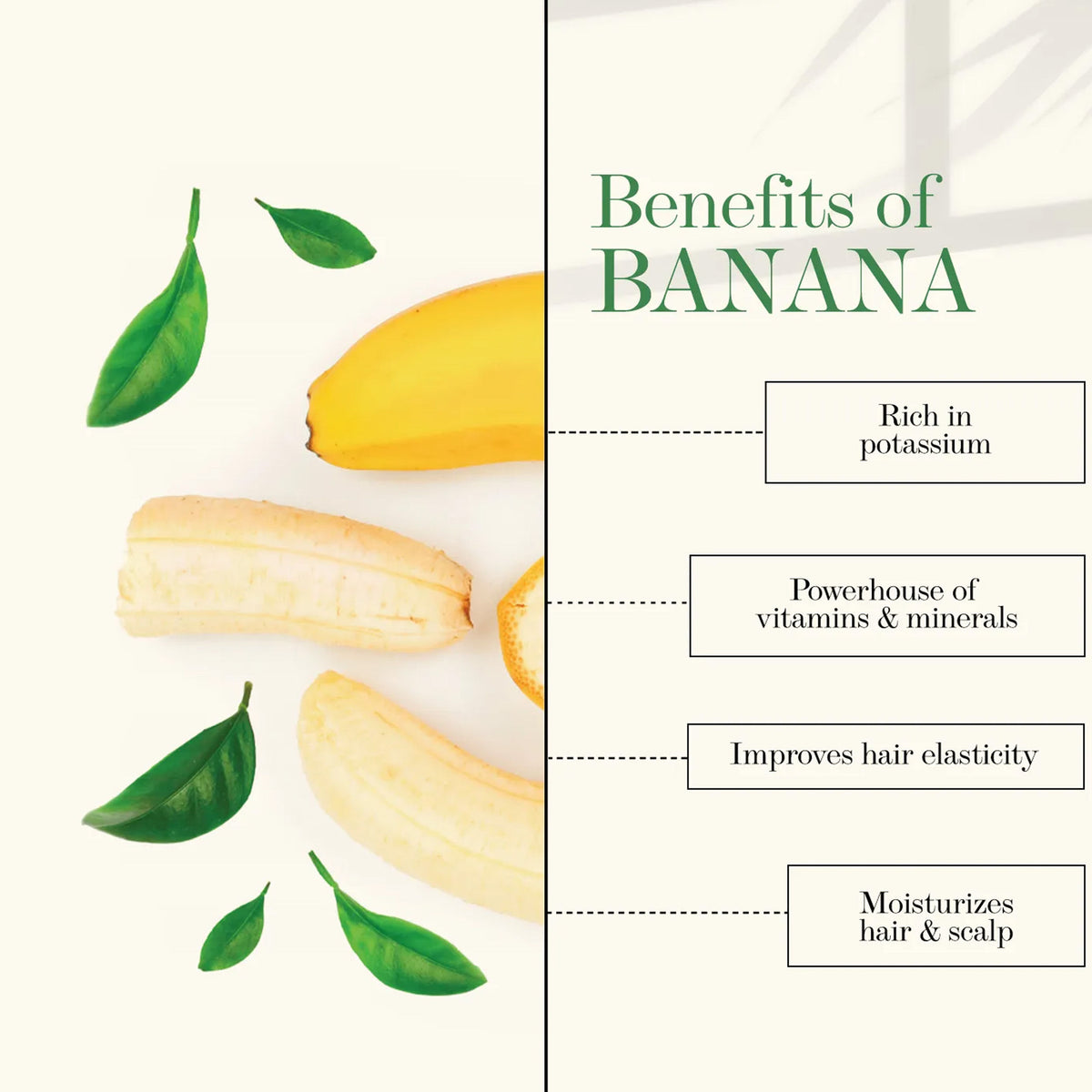 Good Vibes Banana Shine Shampoo | Nourishing, Moisturizing |No Parabens, No Animal Testing (300 ml) - Good Vibes image 3