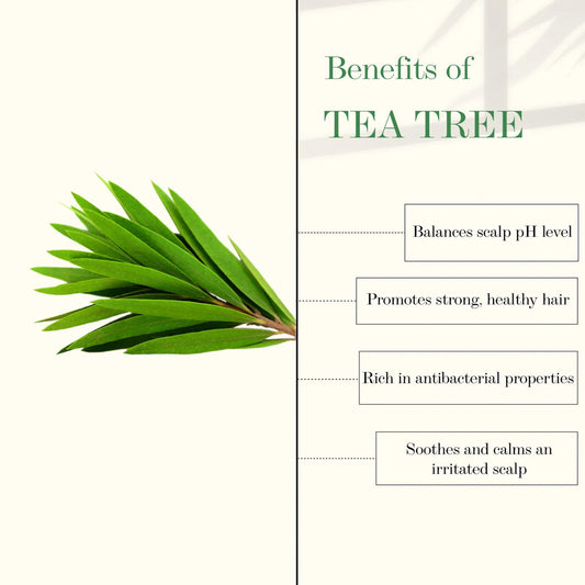 Good Vibes Tea Tree & Rosemary Anti Dandruff Hair Oil (100 ml) - Good Vibes image 2