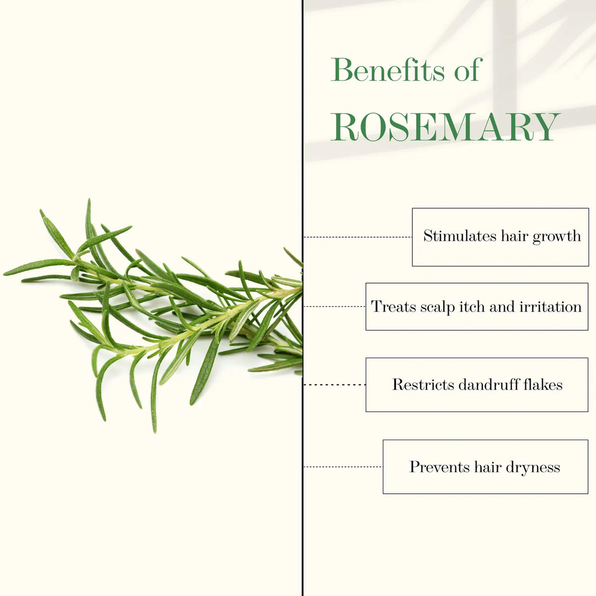 Good Vibes Tea Tree & Rosemary Anti Dandruff Hair Oil (100 ml) - Good Vibes image 3