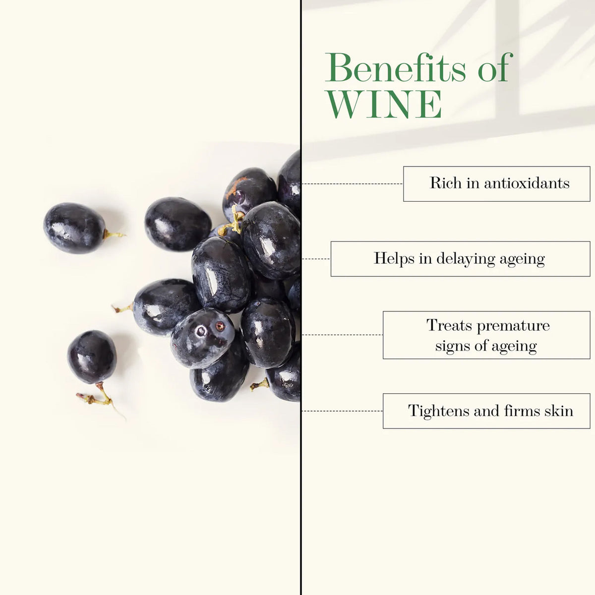 Good Vibes Wine Anti-Ageing Face Wash | Antioxidant, Elasticity | No Parabens, No Mineral Oil, No Animal Testing (120 ml) - Good Vibes image 3