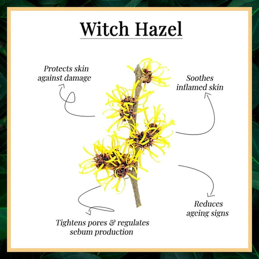 Good Vibes Witch Hazel Soothing Toner | Hydrating, Soothing | No Parabens, No Alcohol, No Sulphates, No Mineral Oil, No Animal Testing (120 ml) - Good Vibes image 2