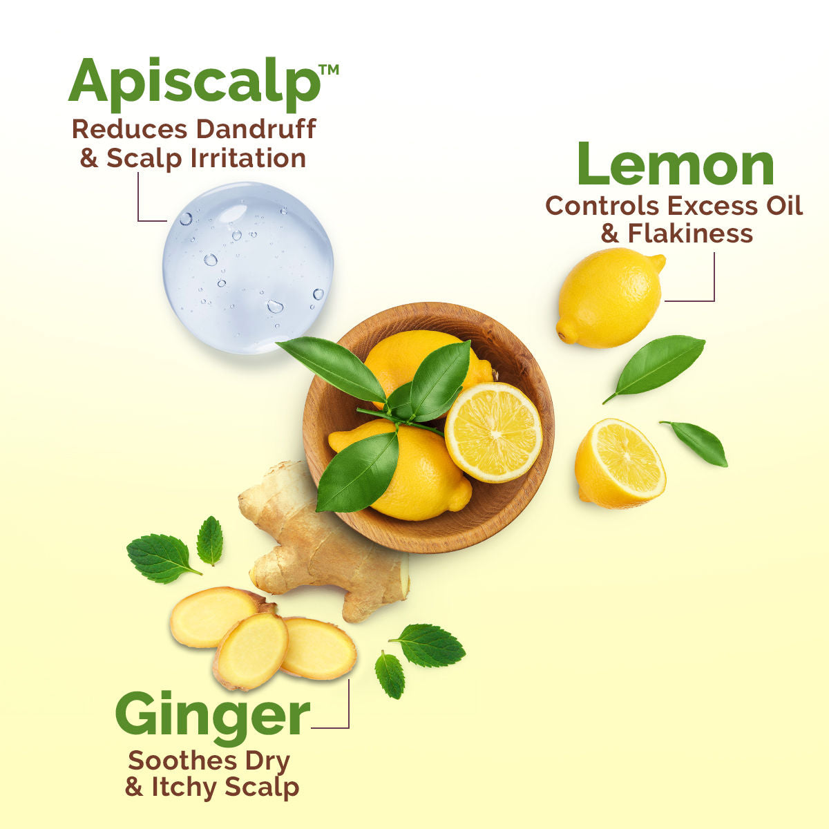 Mamaearth Lemon Anti-Dandruff Hair Oil for Itchy Flaky Scalp 100 ml | Scalp Irritation Relief | Nourishes Scalp & Hair | Contains Lemon, Ginger, Apiscalp (Clinically Proven), Svetakutaja Oil, Neem, Salicylic Acid - Image 4