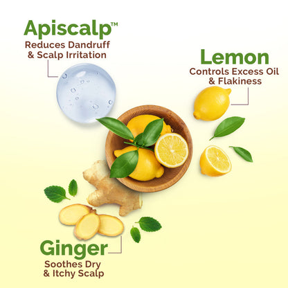 Mamaearth Lemon Anti-Dandruff Hair Oil for Itchy Flaky Scalp 100 ml | Scalp Irritation Relief | Nourishes Scalp & Hair | Contains Lemon, Ginger, Apiscalp (Clinically Proven), Svetakutaja Oil, Neem, Salicylic Acid - Image 4