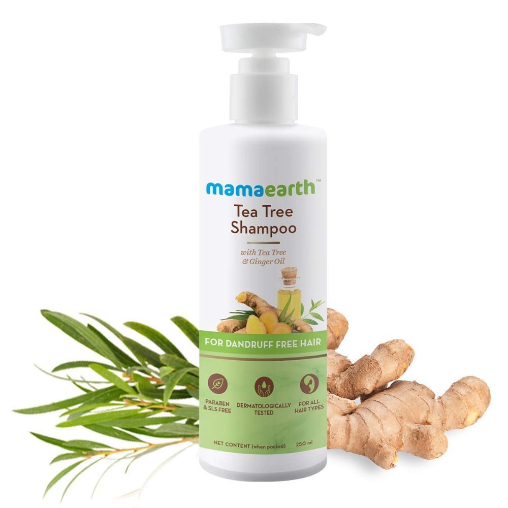 Mamaearth Tea Tree Anti Dandruff Shampoo, With Tea Tree & Ginger Oil (250 ml) - Image 3