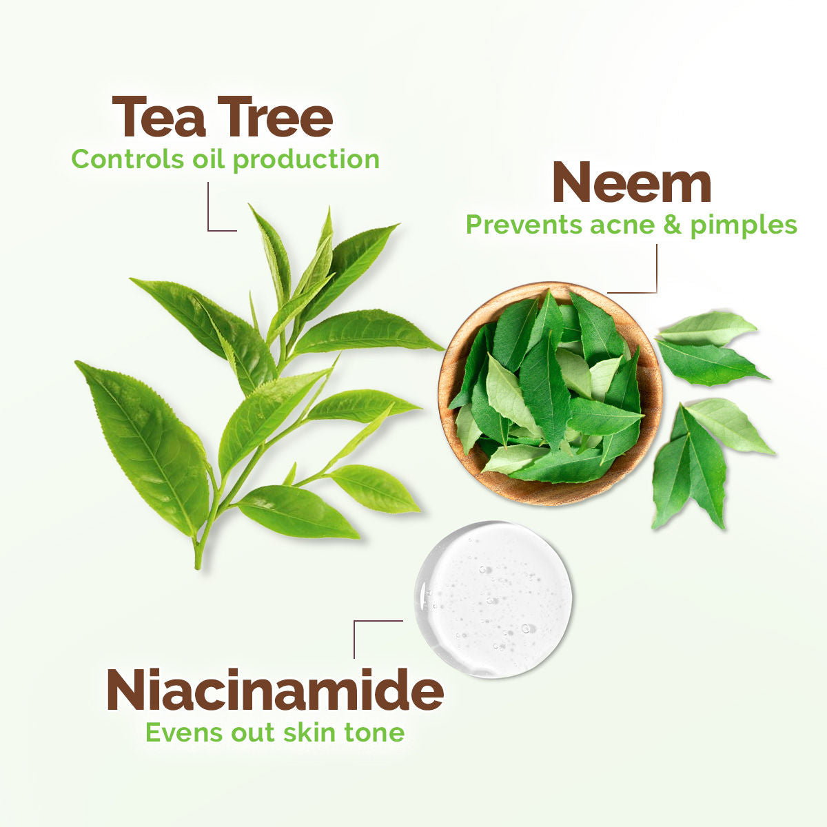 Mamaearth Tea Tree Oil Control Face Wash with Tea Tree & Neem for Normal to Oily Skin - 150 ml Up to 12 Hrs Oil Control | Cleanses Gently | Controls Acne & Pimples - Image 4